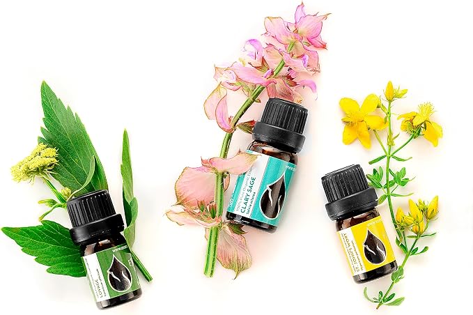 Essences Bulgaria Organic Lovage Essential Oil 1/6 Fl Oz | 5ml | Levisticum officinale | 100% Pure and Natural | Undiluted | Therapeutic Grade | Family Owned Farm | Steam-Distilled | Non-GMO | Vegan