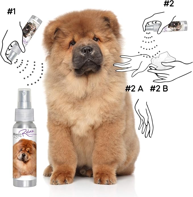 The Blissful Dog Chow Relax Dog Aromatherapy Spray for Your Dog's Anxiety