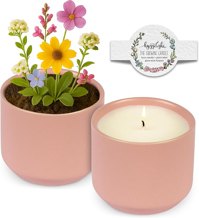 Hyggelight - The Growing Candle, Rosemary & Sage Scent, 8oz Ceramic Pot, Single Wick Aromatherapy Candles, 100% Soy for Women and Men, Adelyn