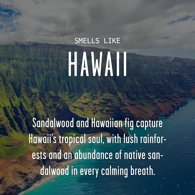 Hawaii Gifts, Hawaii Decor for Home - 'There's No Place Like HawaiiCandle, w/Tropical Fig & Native Sandalwood I Hawaii Souvenirs I Hawaii State Gifts I 9oz Jar, 50Hr Burn, USA Made
