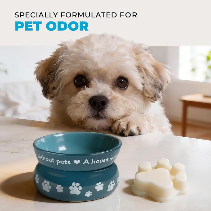 One Fur All Pet House Spring and Summer Wax Melts for Pet Odor, Natural, Plant Based Soy Wax Melts, Long Lasting Fragrance for Fresh Smelling Homes, Lemon Cupcake