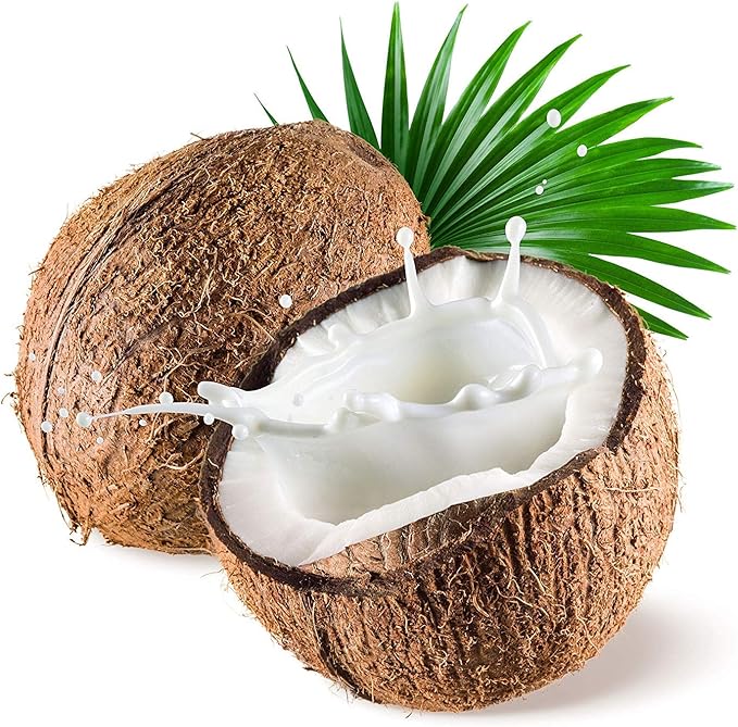 US Organic Fractionated Coconut MCT Oil (Liquid Coconut Oil), USDA Certified Organic, Non-GMO, Perfect for massage, carrier oil for DIY blends, Hair, Skin care. 100% Pure, Hexane-Free (8 oz)