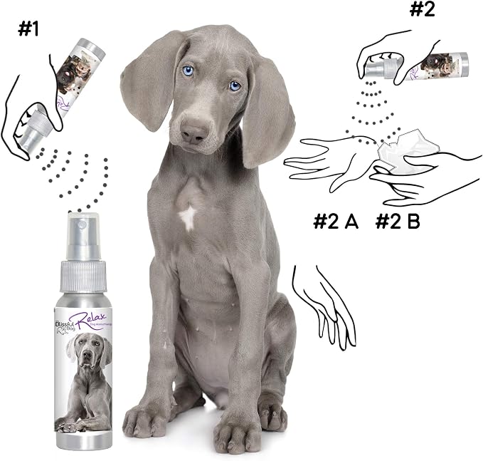 The Blissful Dog Weimaraner Relax Dog Aromatherapy Spray for Your Dog's Anxiety