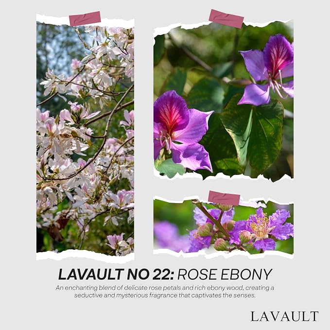 Lavault Reed Diffusers for Home Fragrance Scented - Fragrance Diffusers - Gift Set for Women - Essential Oil for Aromatherapy - Room Aroma Fresheners - Scent Diffuser for Home - Rose Ebony Aroma