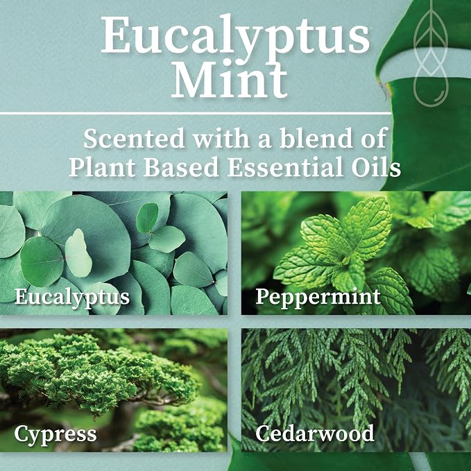 Hemlock Park Eucalyptus Mint Apothecary Scented Candle | Crackling Wood Wick, Botanical Fragrance & Coconut Apricot Wax | Up to 80 Hour Burn Time | 16 oz | Made in USA