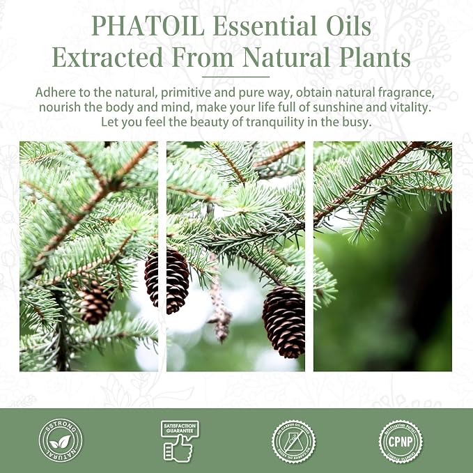 Pine Needles Essential Oil, 1.01Fl.Oz (30ML) PHATOIL Pure Essential Oil Singles for Aromatherapy Diffusers, Humidifiers, Great for DIY Candle and Soap Making, Gift for Friend