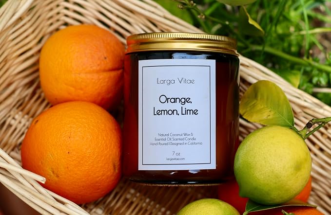 Organic Coconut Wax Aromatherapy Candle | Citrus Orange Lemon Lime | Non-Toxic, Pet Safe, Allergy Friendly | Phthalate Free | Zero Waste Sustainable Gift
