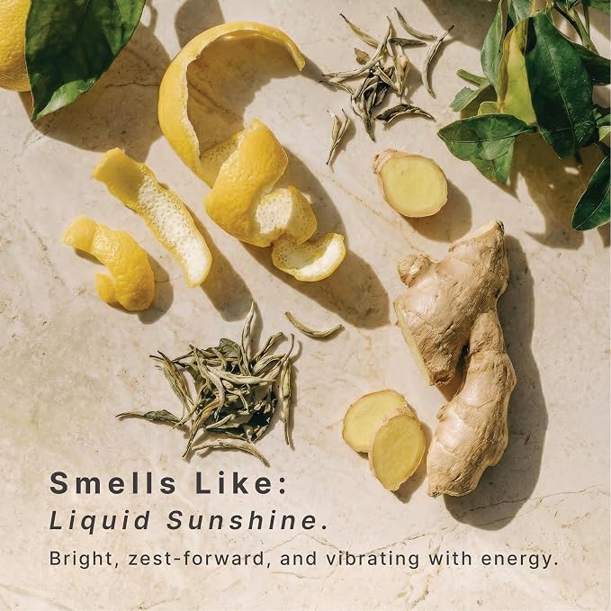 Homedics SereneScent Wellness Oil Refill for Waterless Diffusers, Lemon & Ginger, 15ml Plug & Play Fragrance Oil Bottle, Aromatherapy Scent Refill for Home, Office, Bedroom, Compact Diffusers