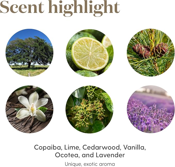 Young Living Stress Away Essential Oil Blend | 15 ml | Sweet Lime & Vanilla Aromatherapy Oil for Diffusers, Massage & DIY Blends | Relaxing Fragrance for Home, Office & Everyday Aromatic Use
