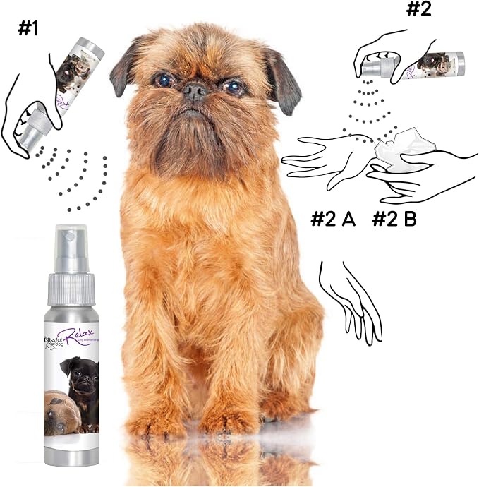 The Blissful Dog Brussels Griffon Relax Dog Aromatherapy Spray for Your Dog's Anxiety