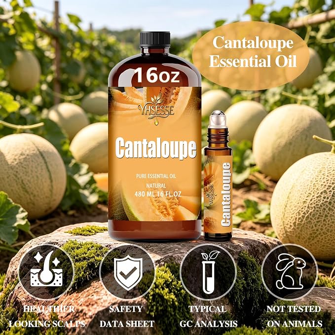 Cantaloupe Essential Oil, Cantaloupe Oil 16 Fl Oz 480ml for Diffuser Yoga Soap & Candle Making – with 0.33 Oz Roller Ball & Funnel YHSESSE Essential Oils
