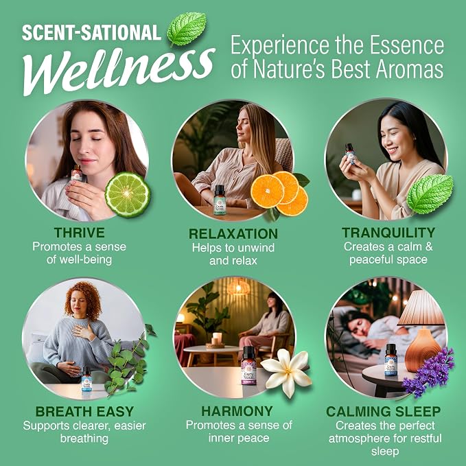 GuruNanda Essential Oil Blends – 6 Pack (10mL Each), Breathe Easy, Tranquility, Relaxation, Harmony, Calming Sleep & Thrive, Natural Aromatherapy Oils for Diffuser, Wellness & DIY