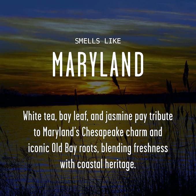 Maryland Gifts, Maryland Decor for Home - 'There's No Place Like Maryland Candle, w/White Tea, Bay Leaf & Jasmine I Maryland Souvenirs I Maryland State Gifts I 9oz Jar, 50Hr Burn, USA Made