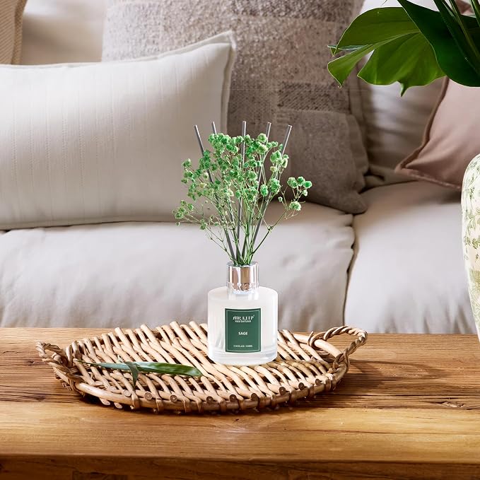 Airkeep Reed Diffuser Set, 3.38 fl oz (100 ml) - Sage Lemon Oil Diffusers with 8 Reed Sticks, Home Fragrance Reed Diffuser for Bathroom Shelf Decor