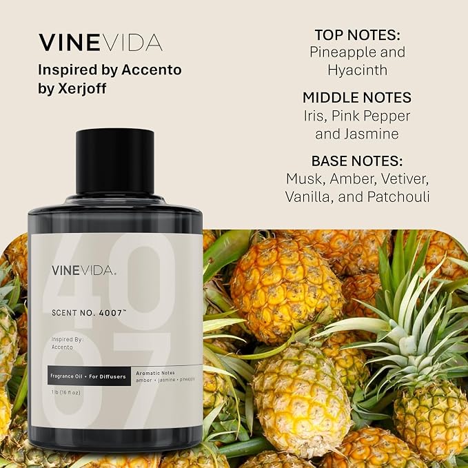 VINEVIDA [16 Oz] Inspired by: Accento; Diffuser Oil Refill | Premium Scent Diffuser Oil for Home | Non-Toxic Fragrance