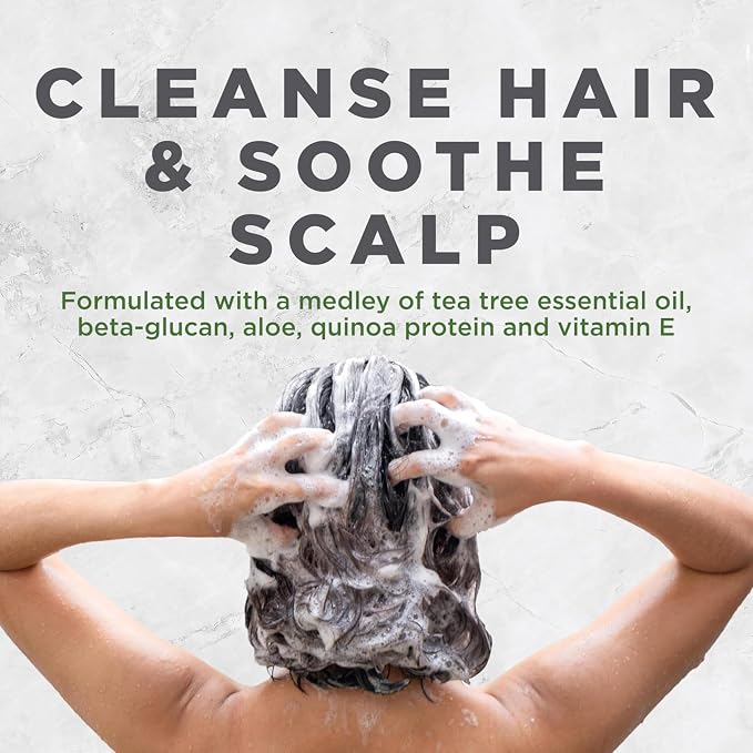 Avalon Organics Scalp Treatment Tea Tree Shampoo, Encourages Scalp Well-Being and Leaves Hair Soft, 32 Fluid Ounces