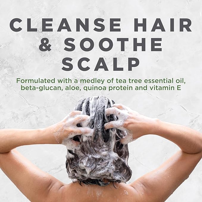 Avalon Organics Scalp Treatment Tea Tree Shampoo,Encourages Scalp Well-Being and Leaves Hair Soft,32 Fluid Ounces,(Pack of 2)