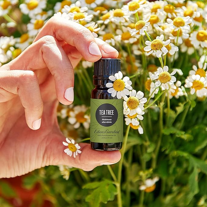 Edens Garden Tea Tree Essential Oil- 100% Pure Premium Grade, Undiluted, Natural, Therapeutic, Aromatherapy, The Best for Diffuser, Hair, Humidifiers, Kid Safe 10 ml (.33 fl oz)