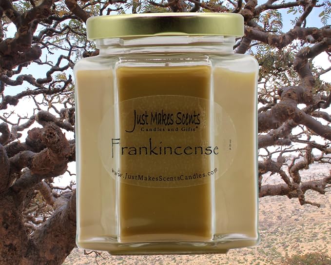 Frankincense Scented Blended Soy Candle by Just Makes Scents