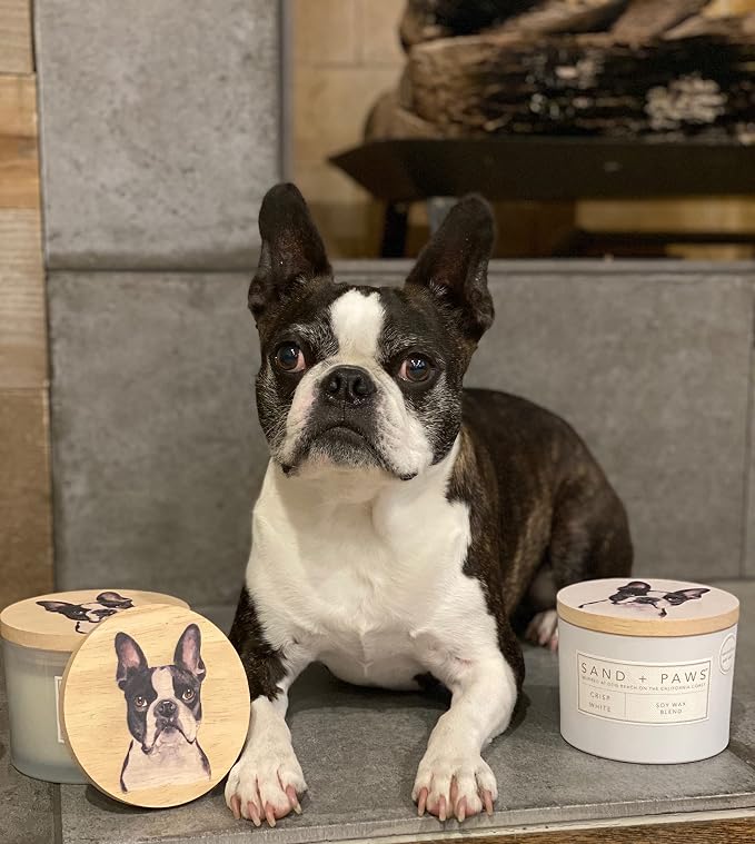 Sand + Paws Scented Candle - Tahitian Vanilla –Luxurious Air Freshening Jar Candles Neutralize pet Odors and Enhance Home décor – 100% Cotton Lead-Free Wicks - 12 oz