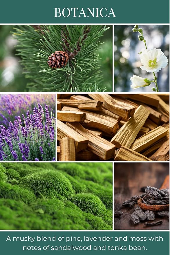 ECO CANDLE CO. Reed Diffuser Set, Botanica, 4 oz. - Scents of Pine, Lavender, & Moss - Premium Phthalate Free Fragrance & Essential Oil Blends, 12 Reeds, Recycled Box