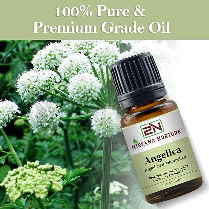 Angelica Essential Oil, 100% Pure Undiluted, Aromatherapy Oil for Diffuser, Hair & Skin Care
