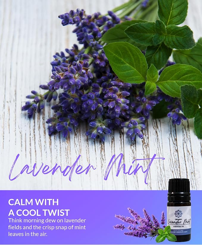 Essence Lavender Mint Essential Oil, 5 ml | Aromatherapy Oil for Diffusers & Personal Use | Natural Fragrance for Relaxation, Clarity & Wellness | Made in USA | Floral & Refreshing Scent