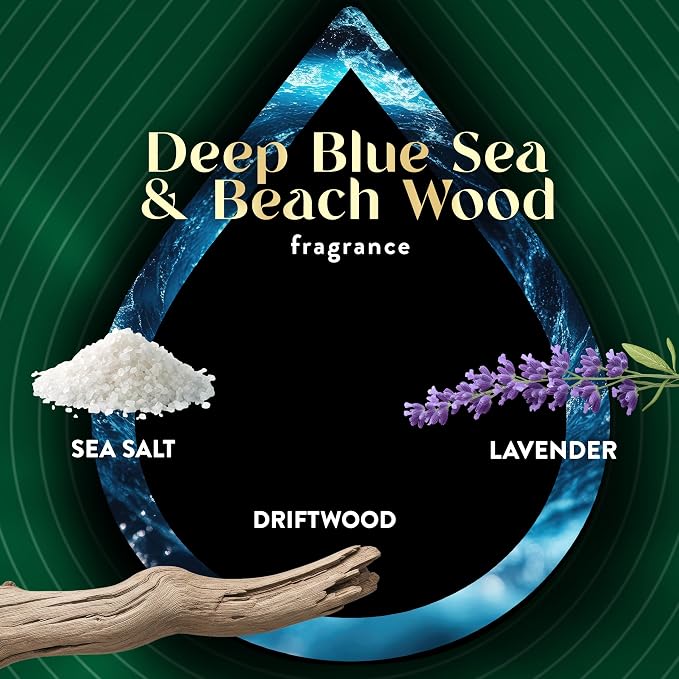 Air Wick Vibrant Plug In Scented Oil Refill, Infused with Essential Oils, Plug In Air Fresheners for Home, Deep Blue Sea & Beach Wood, 5 ct (Pack of 2)