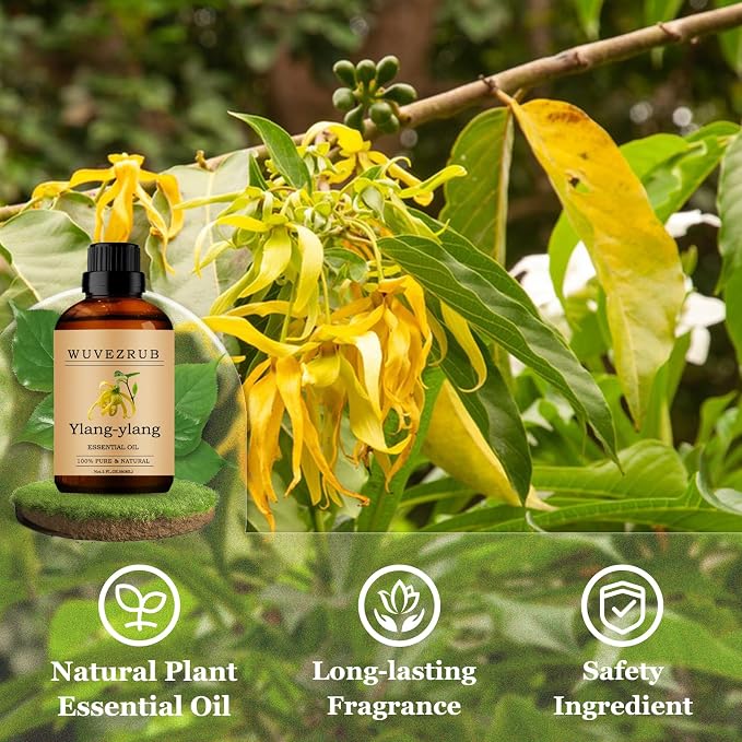 Ylang-Ylang Essential Oils 60ML, Pure Ylang-Ylang Essential Oil for Aromatherapy Diffuser - 2 Fl Oz