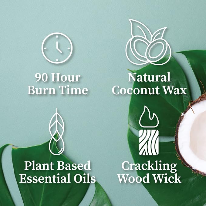 Hemlock Park Teakwood Apothecary Scented Candle | Crackling Wood Wick, Botanical Fragrance & Coconut Apricot Wax | Up to 80 Hour Burn Time | 16 oz | Made in USA