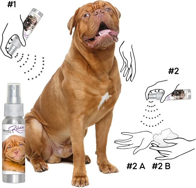The Blissful Dog Dogue De Bourdeaux Relax Dog Aromatherapy Spray for Your Dog's Anxiety