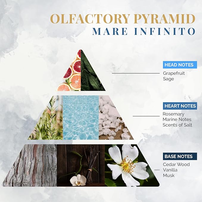 Logevy Firenze 1965 Mare Infinito – Infinite Sea Luxury Home Fragrance Diffuser from Master Perfumer in Italy with Refreshing Notes in Elegant Glass Bottle with 12 Natural Bamboo Reeds – 500ml