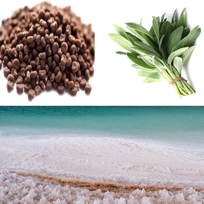 100% Natural Soy Wax Candle by CoCo Benjamin - Highly Scented & Hand-Poured Luxury Candle (Wood Sage & Sea Salt)- Clean Burning Cotton Wick