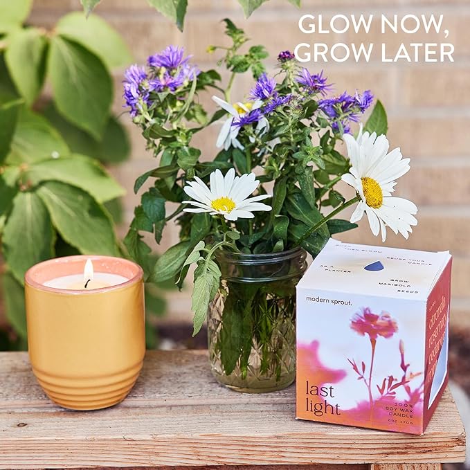 Modern Sprout - 2-in-1 Soy Candle & Planter Set - Patio Goals 3-Pack (Bug-Repelling Citronella, Rosemary, Cedarwood, Mint) 6 Oz Outdoor Scented Candles with Marigold Seeds - 38–40 Hour Burn