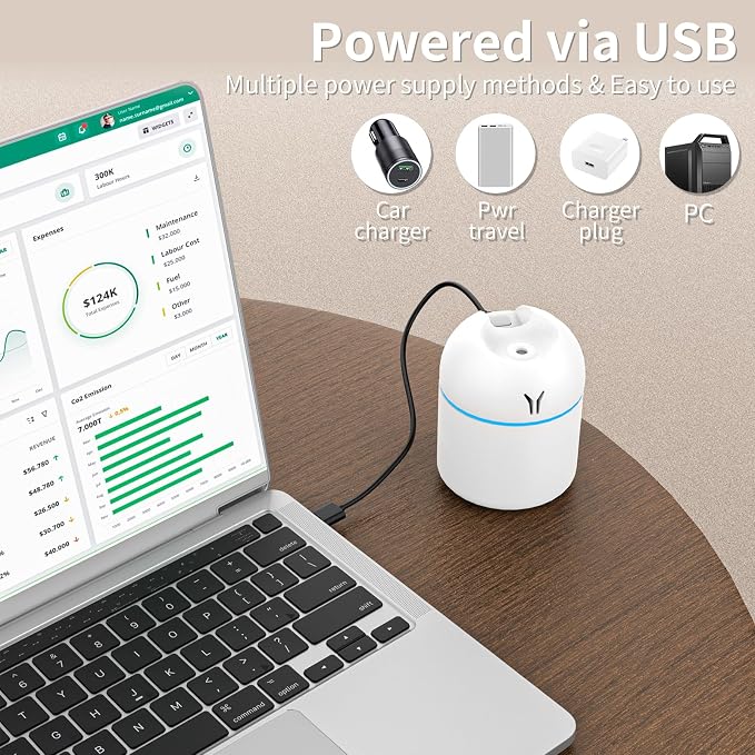 Portable Mini Humidifier, 250ML 3-in-1 Cool Mist With Aroma Pads, Colorful Night Light, USB for Car and Travel (White)