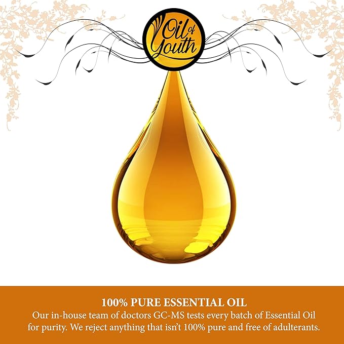 Oil of Youth - Cinnamon Essential Oil (16oz Bulk) Pure Therapeutic Grade Essential Oil for Aromatherapy, Diffuser, Muscle Relief, Skin Therapy