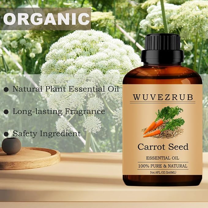 Carrot Seed Essential Oils, 240ML 100% Pure and Natural Essential Oil for Aromatherapy Diffuser - Carrot Seed /8 Fl Oz
