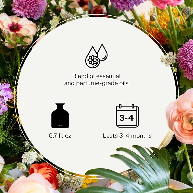 Apotheke Luxury Scented Oil Reed Diffuser Liquid Refill (Canvas) - Premium Home Fragrance Diffuser Refill Set with Sticks
