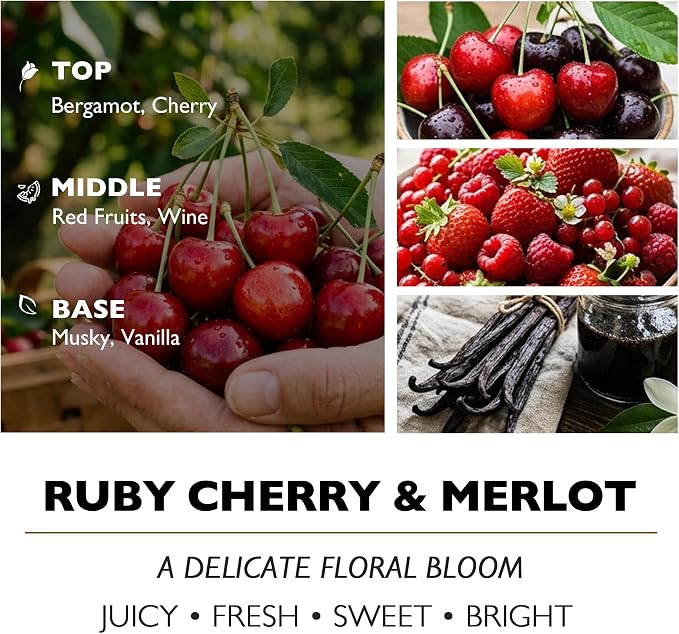 HomeLights Scented Candles - Large Jar Aromatherapy, Natural Soy Wax, 130 Hour Long Burning, Ruby Cherry & Merlot