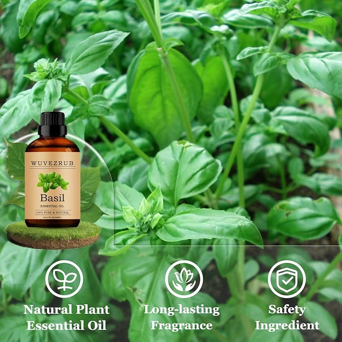 Basil Essential Oils 60ML, Pure Basil Essential Oil for Aromatherapy Diffuser - 2 Fl Oz