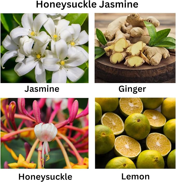 Honeysuckle Jasmine, 5 Oz Floral Scented Candle with Premium Coconut Apricot Wax with Lemon,Violet & Wood Notes,Aromatherapy Candle for Living Room, Self-Care & Relaxation, Perfect Luxury Gift