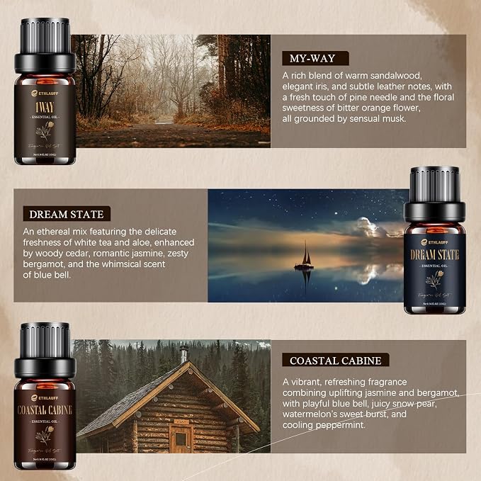 Hotel Collection Diffuser Oil, My Way, Dream State, Coastal Cabine, Inspired by The Most Popular 5-Star Hotel Scents, Fragrance Oil Set 6 * 10 ml