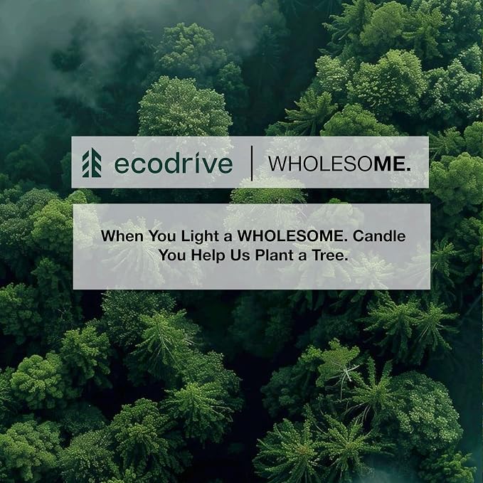WHOLESOME. Orange Tangerine Scented Non-Toxic Candles for Home, 2 Wicks Natural Coconut Wax Candle Eco-Friendly, Luxury Aromatherapy Candles Stress Relief, 16 oz Large Concrete Jar, 90 Hours Burn