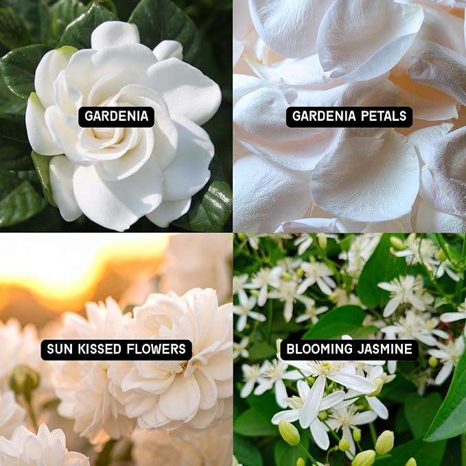 DW Home Fresh Cut Gardenia Scented Candle for Home, 15 oz, Large Double Wick Candle Jar, Up to 56H Burn Time, Luxury Scented Candle for Relaxation, Gifting, Home Decor