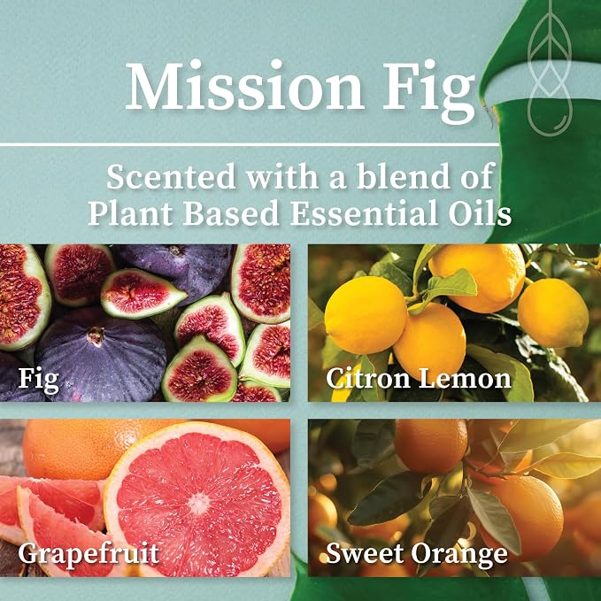 Hemlock Park Mission Fig Apothecary Hand-Poured Scented Candle | Crackling Wood Wick, Botanical Fragrance & Coconut Wax | Up to 60 Hour Burn Time | 8 oz