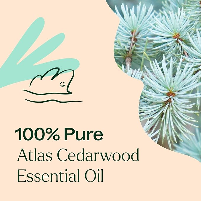 Plant Therapy Organic Atlas Cedarwood Essential Oil, 10 mL (1/3 oz), 100% Pure and Undiluted, USDA Certified Organic, for Essential Oil Diffusers and DIY Skincare
