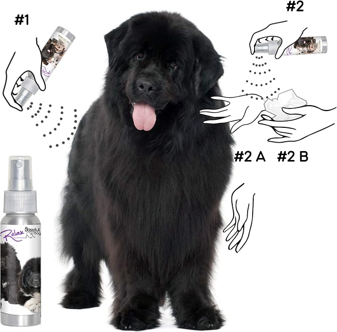 The Blissful Dog Newfoundland Relax Dog Aromatherapy Spray for Your Dog's Anxiety