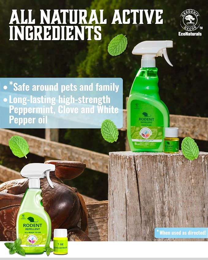All Natural Peppermint Oil Spray – Peppermint Oil Spray for Mice and Rats 2 Bottle Value - 16oz + 1oz Concentrate