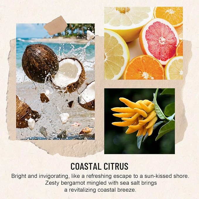 Auelife Reed Diffuser Set, Coastal Citrus 2 Pack 8 Fl Oz Scented Diffuser with Fiber Sticks, Home Fragrance Reed Diffuser for Bathroom Shelf Decor, Bedroom, Office & Housewarming Gift