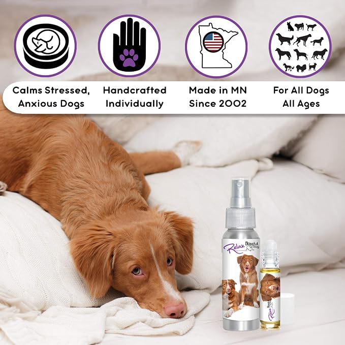 The Blissful Dog Nova Scotia Duck Tolling Retriever Relax Dog Aromatherapy Spray for Your Dog's Anxiety